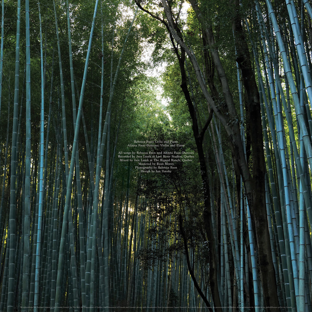 
                  
                    Load image into Gallery viewer, CST184 Rebecca Foon &amp;amp; Aliayta Foon-Dancoes | Reverie
                  
                