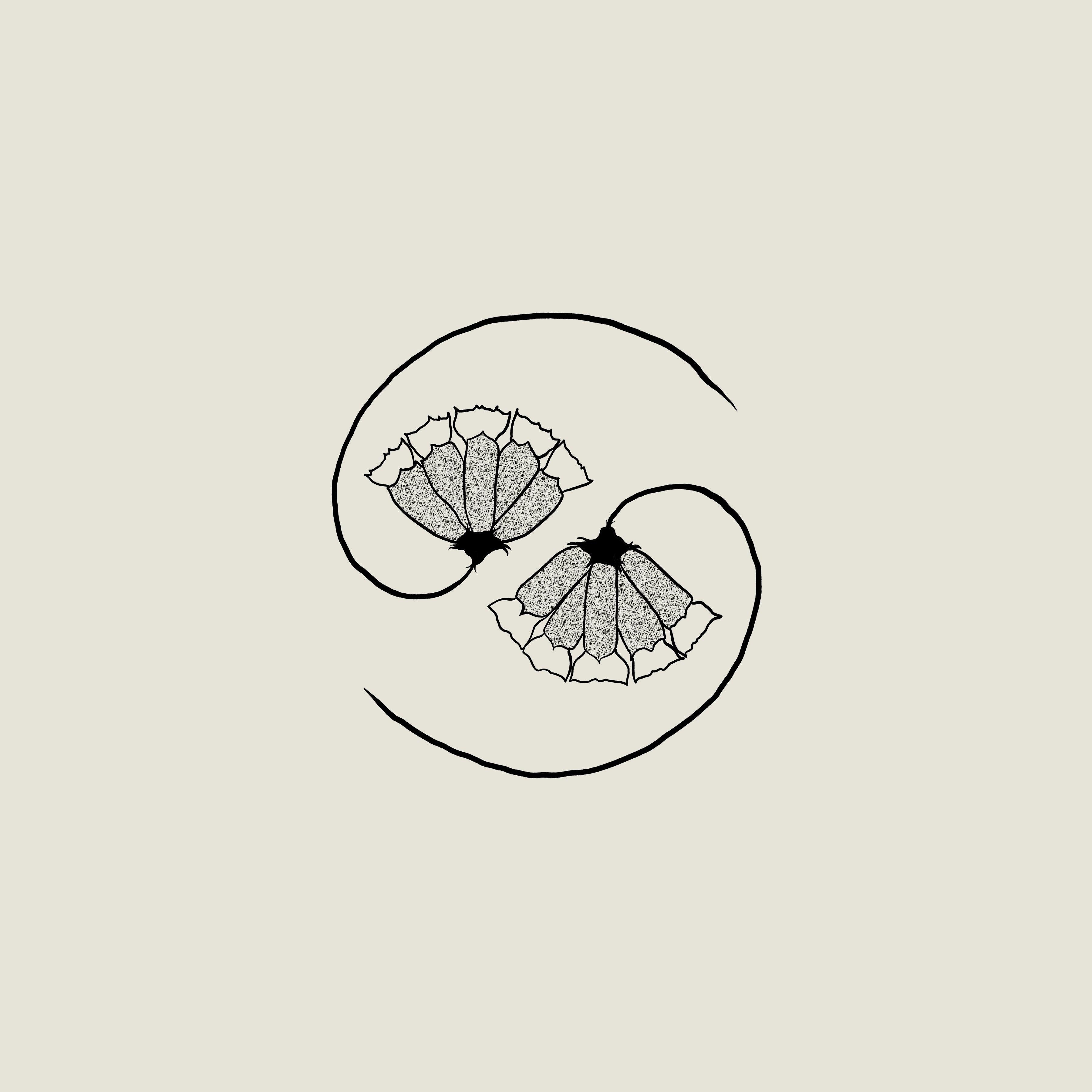 CST156 Godspeed You! Black Emperor | G_d's Pee AT STATE'S END