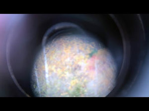 
                  
                    Load and play video in Gallery viewer, CST161 Jessica Moss | Phosphenes
                  
                